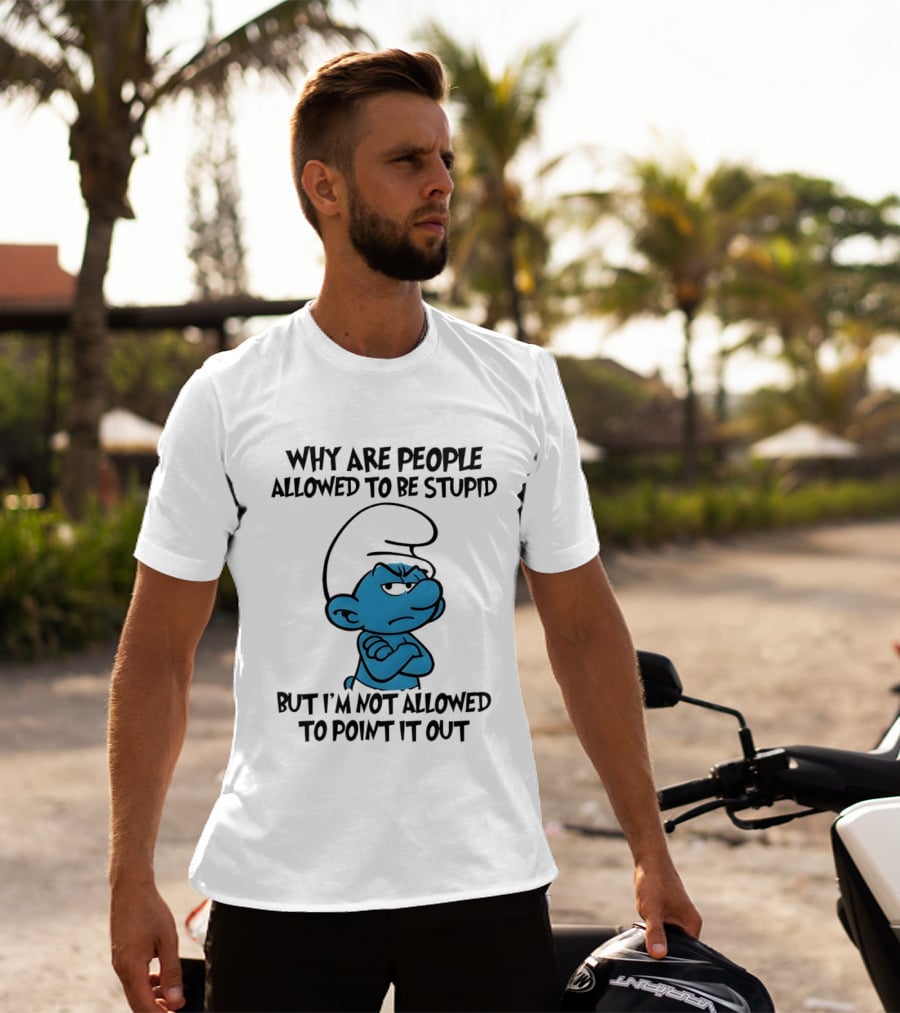 Smurfs Grumpy Character Why Are People Allowed To Be Stupid But I'm Not Allowed To Point It Out T-Shirt