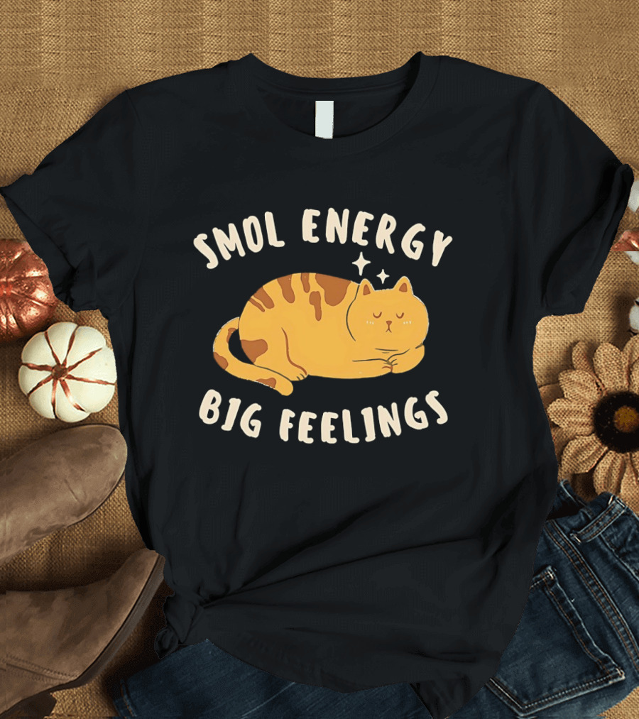 Smol Energy Big Feelings Cat Illustration With Sleepy Kitty Vibes T-Shirt