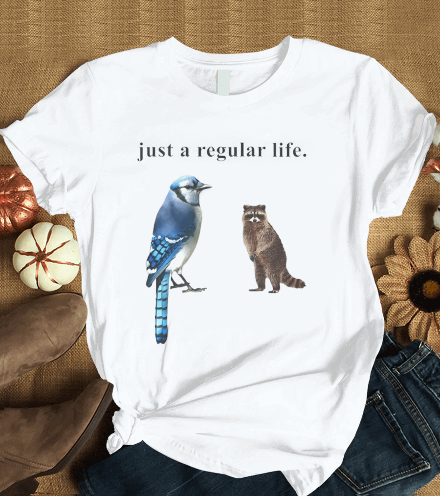 Just A Regular Life Raccoon And Bird Regular Show T-Shirt