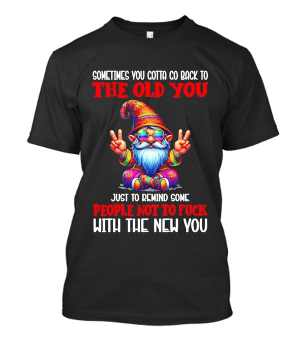 Sometimes You Gotta Go Back To The Old You Just To Remind Some People Not To Fuck With The New You T-Shirt