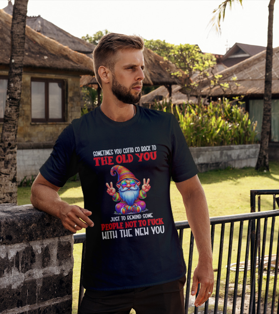 Sometimes You Gotta Go Back To The Old You Just To Remind Some People Not To Fuck With The New You T-Shirt