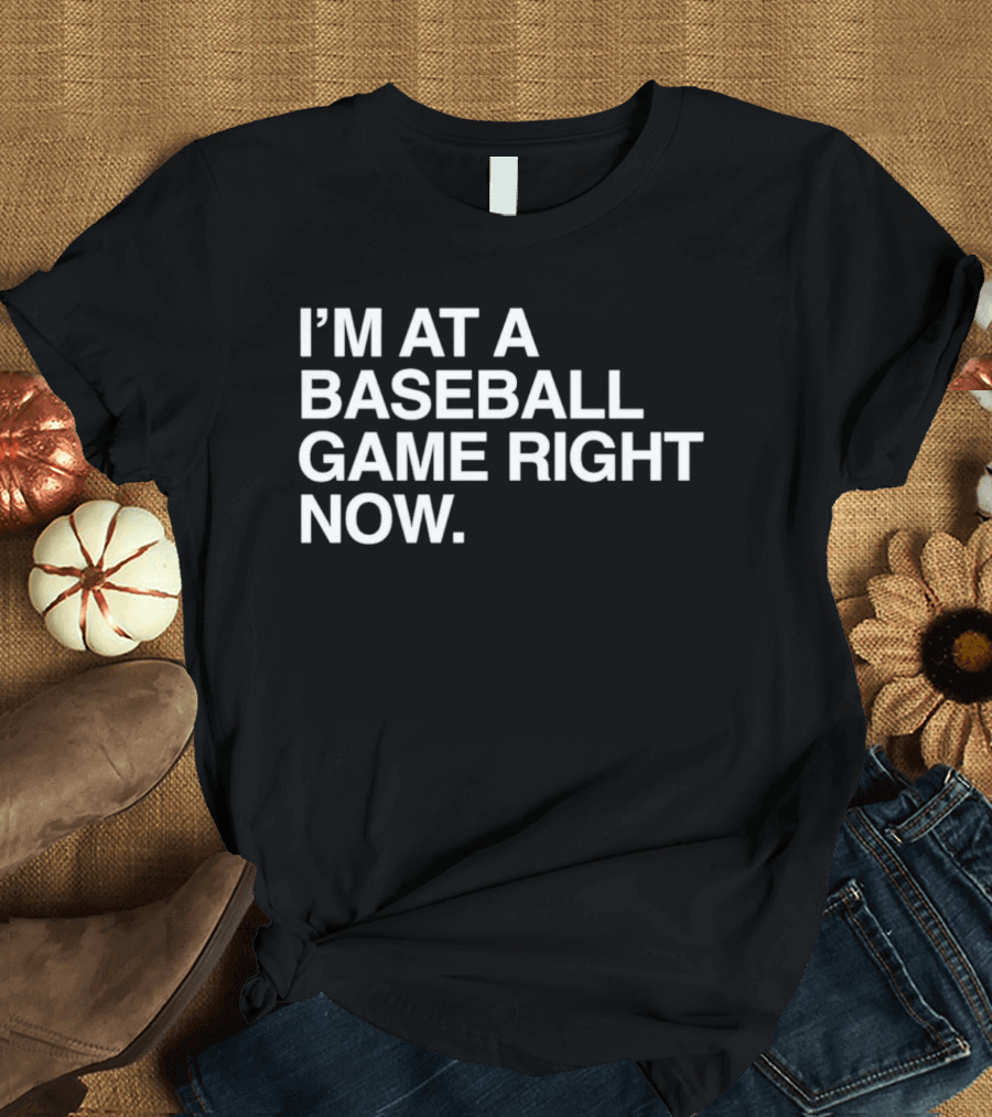 I'm At A Baseball Game Right Now T-Shirt