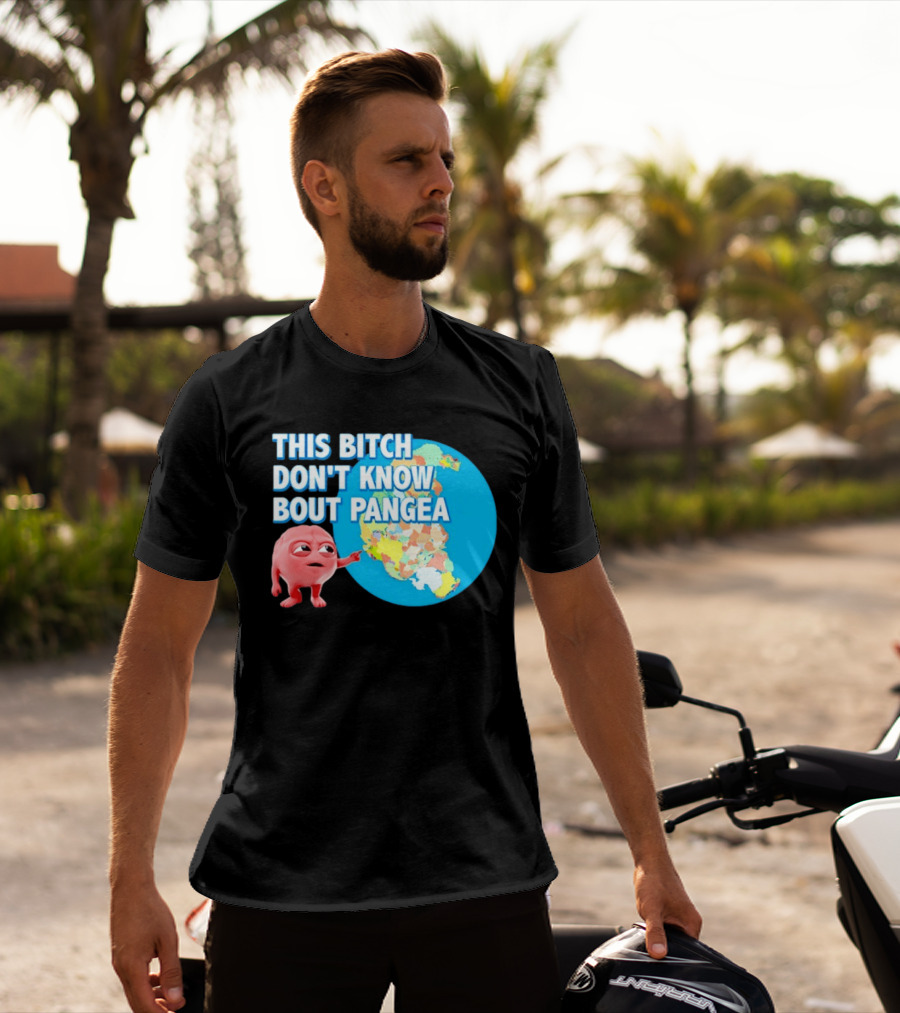 This Bitch Don't Know Bout Pangea Brain Meme Map T-Shirt