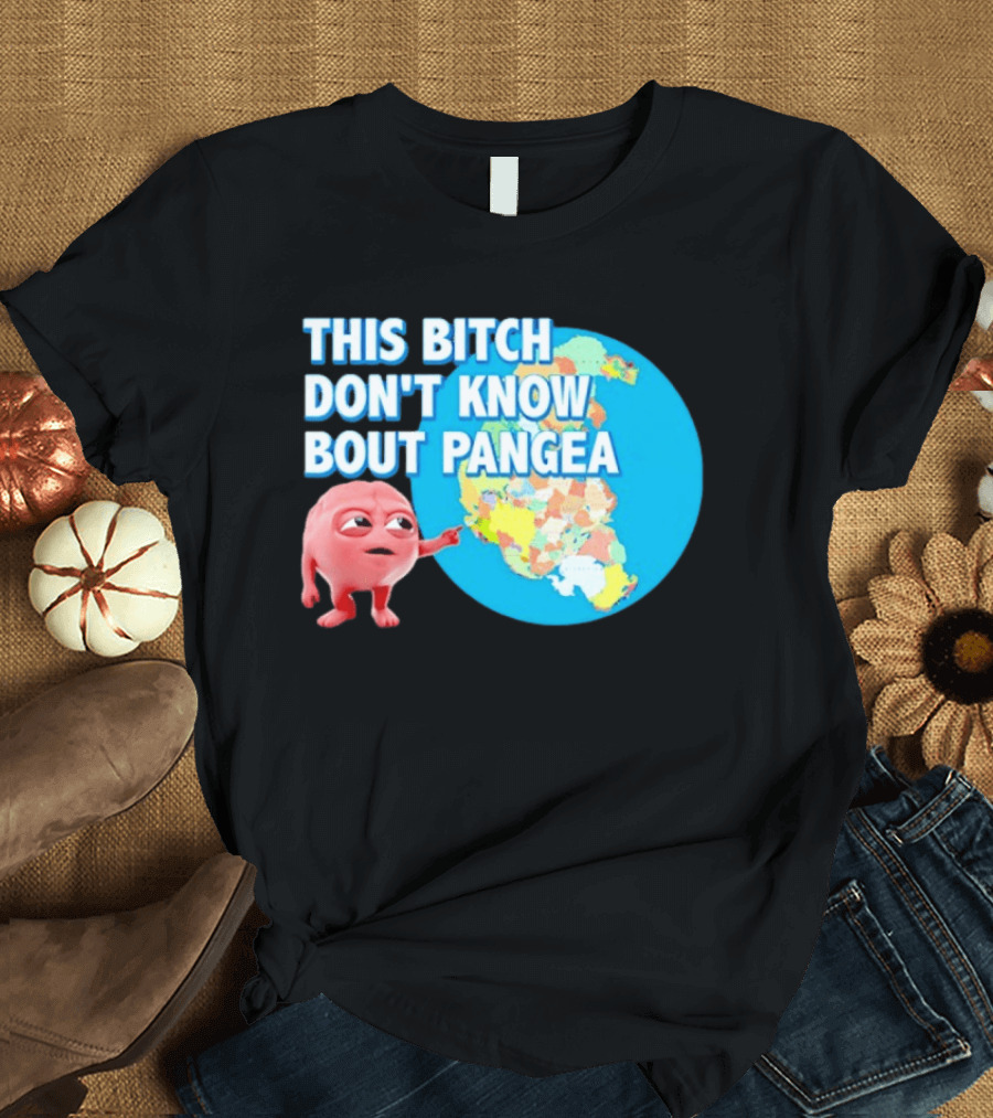 This Bitch Don't Know Bout Pangea Brain Meme Map T-Shirt