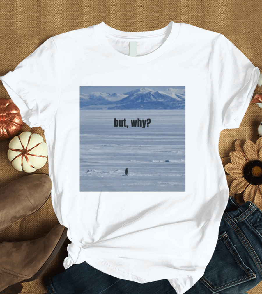 But Why Penguin On Ice With Mountain T-Shirt