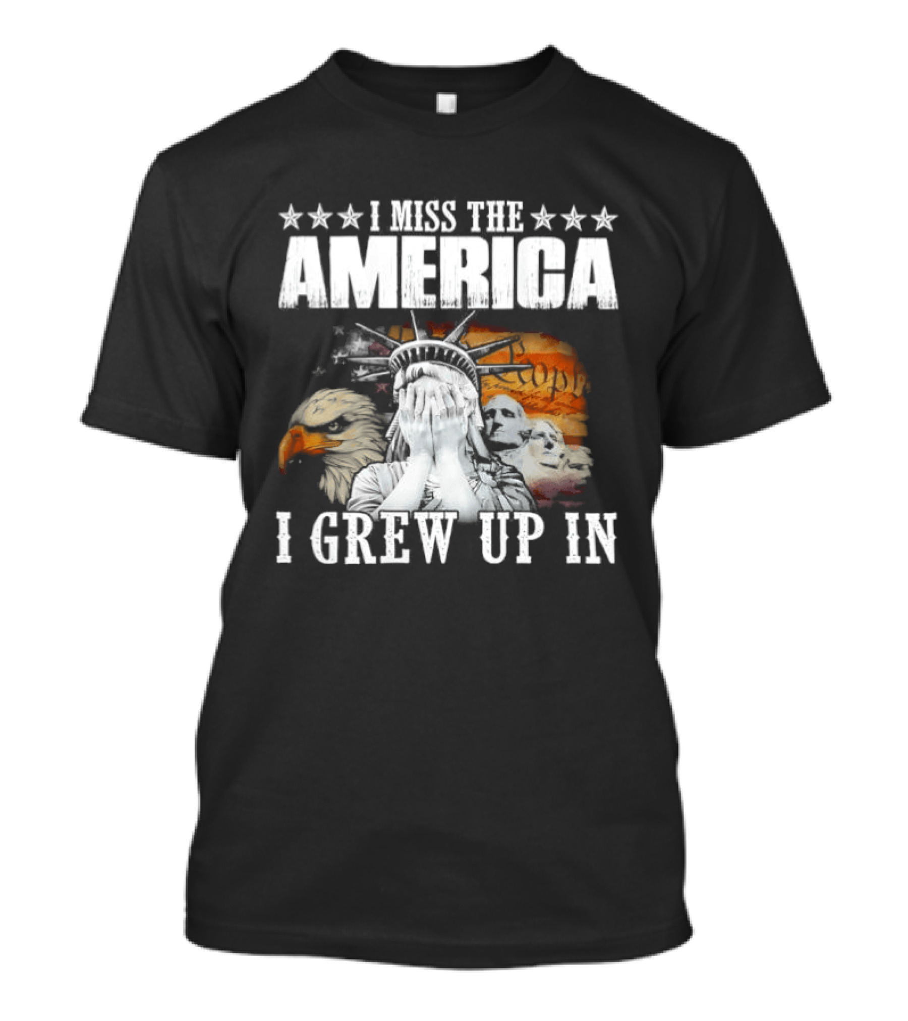 I Miss The America I Grew Up In Liberty And Eagle Retro Patriotic T-Shirt