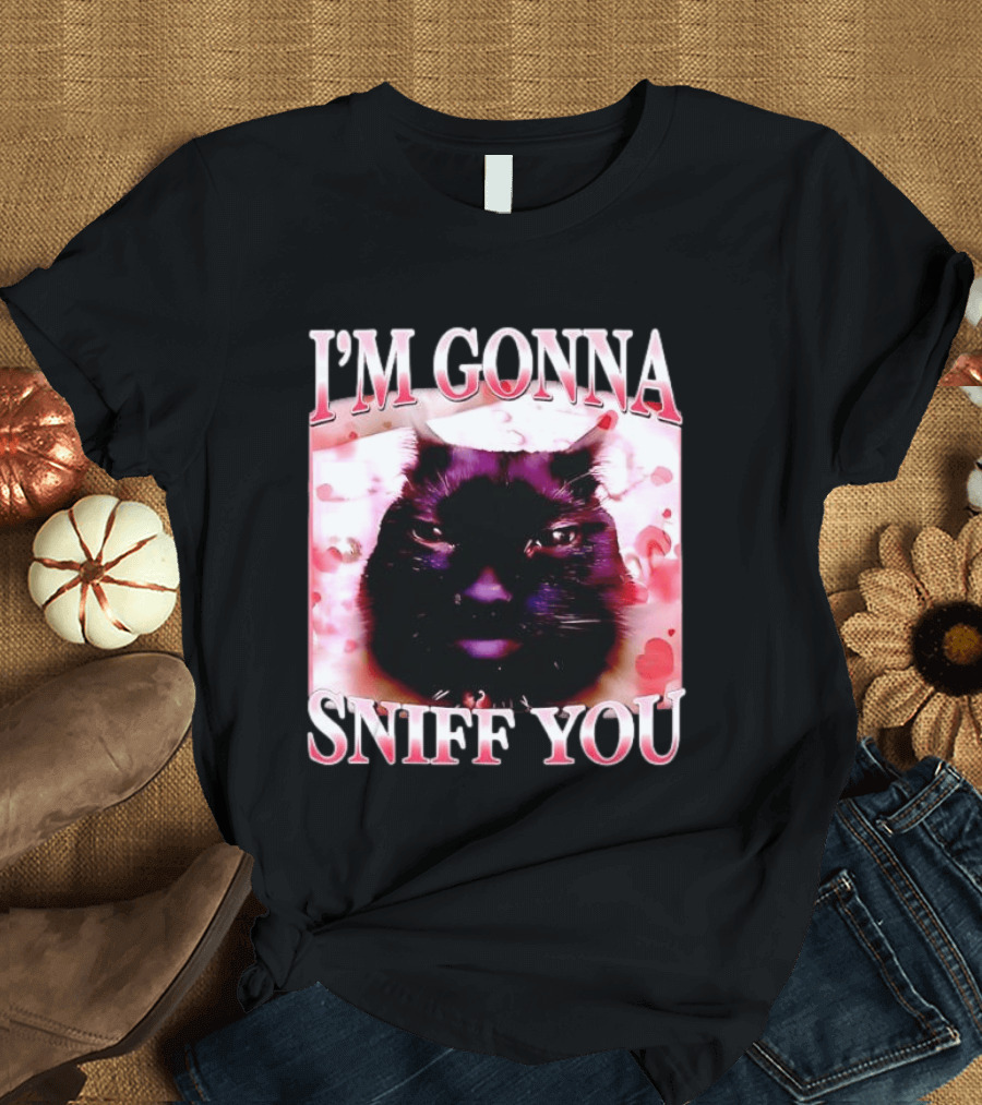I'm Gonna Sniff You Cat Meme Valentine Aesthetic T-Shirt