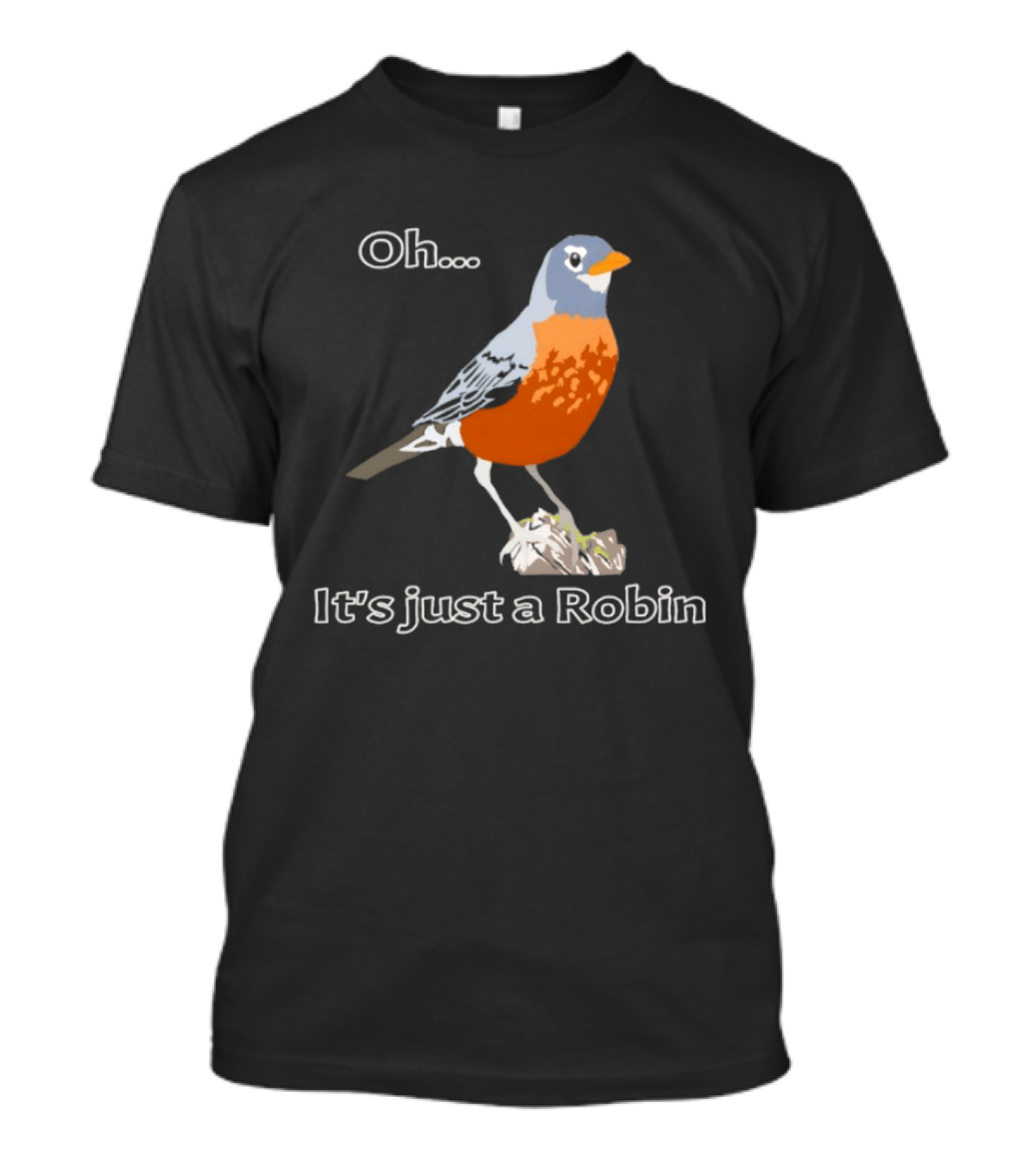 Oh It's Just A Robin Standing On Rock T-Shirt