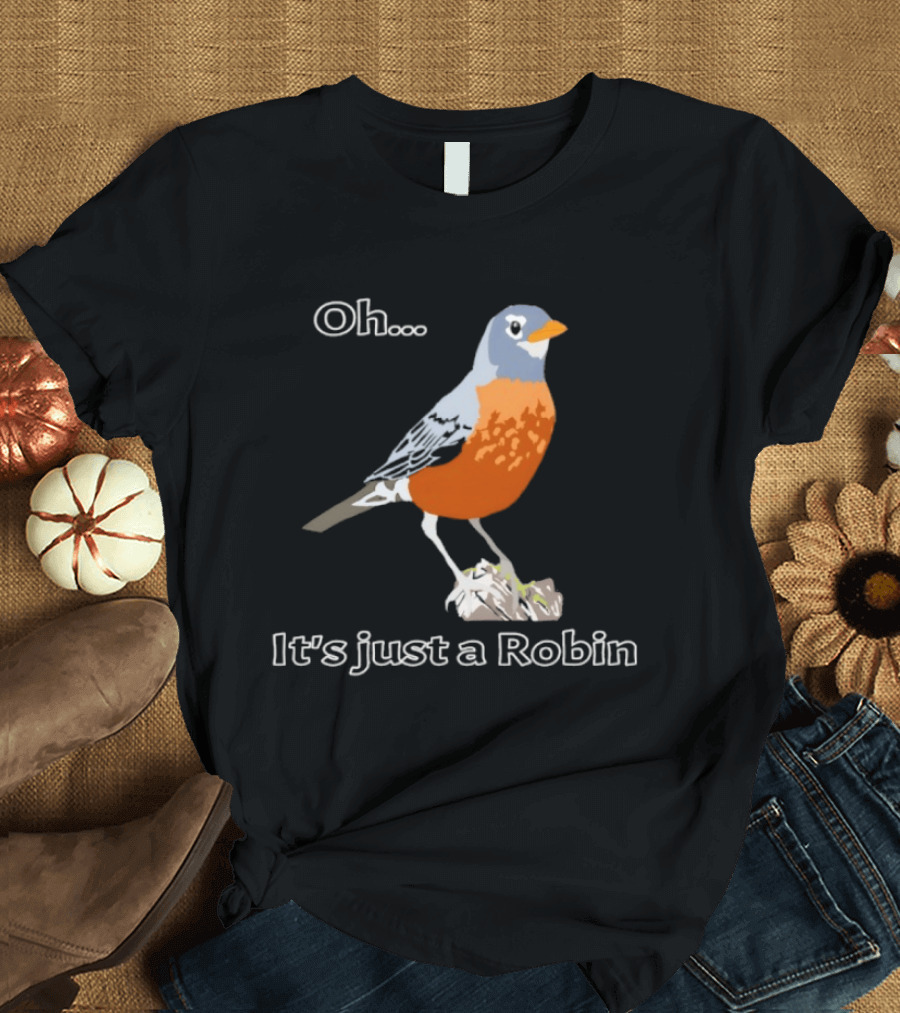 Oh It's Just A Robin Standing On Rock T-Shirt