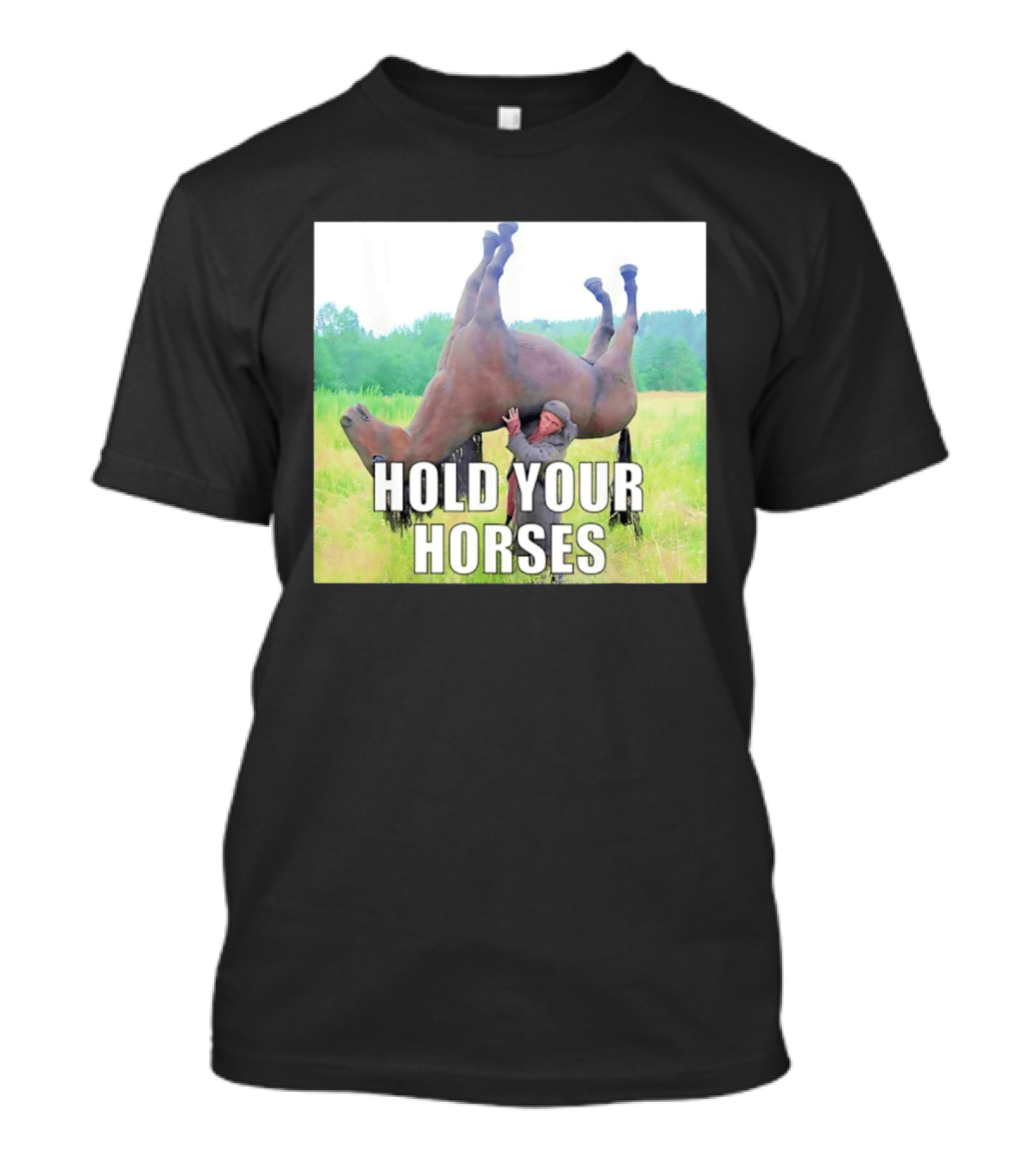Hold Your Horses Funny Farm Humor T-Shirt