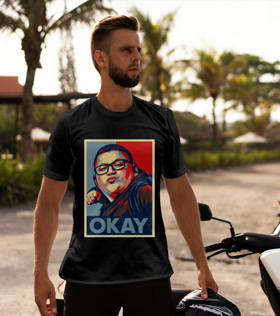 Okay Punch Kid Meme T-Shirt