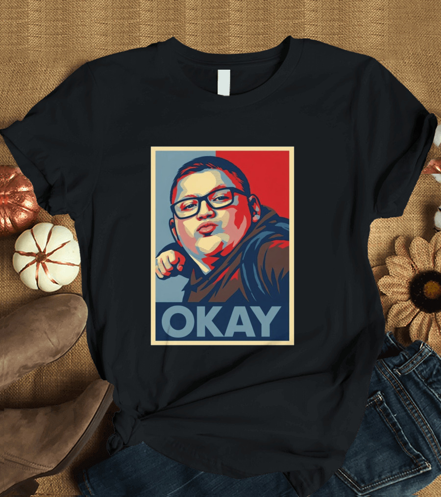 Okay Punch Kid Meme T-Shirt