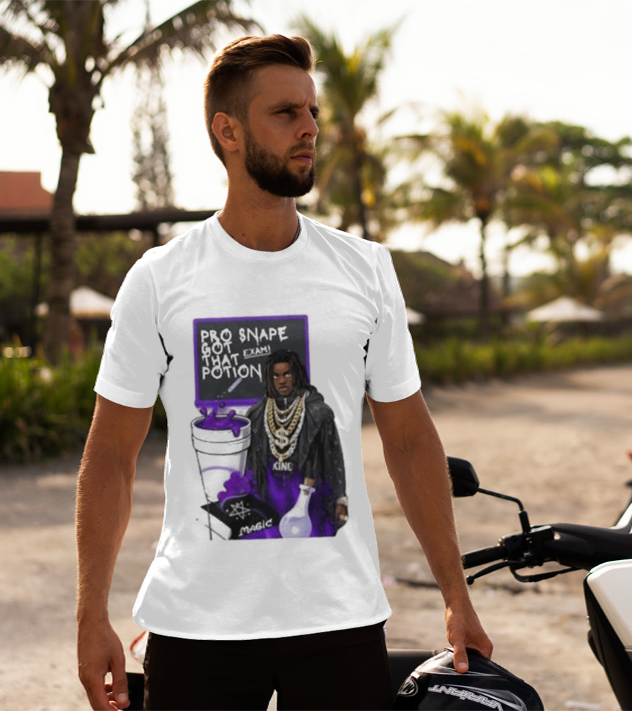 Pro Snape Got That Potion Magic Hip Hop Exam King T-Shirt