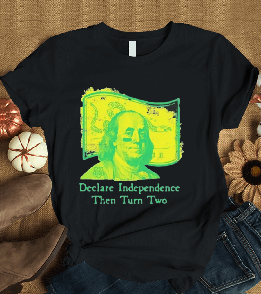 Declare Independence Then Turn Two Benjamin Franklin Join Or Die Snake Flag T-Shirt