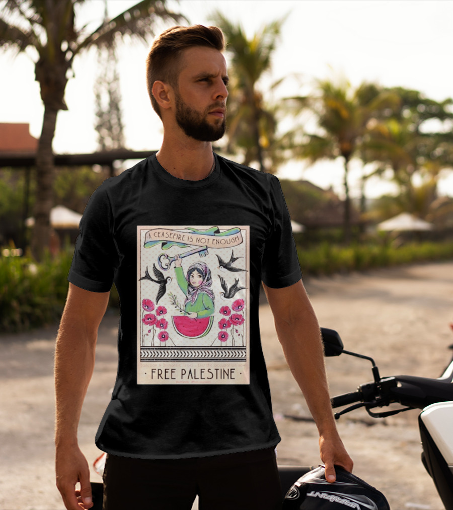 A Ceasefire Is Not Enough Free Palestine Sanction And Dismantle Israel End The Occupation Now T-Shirt