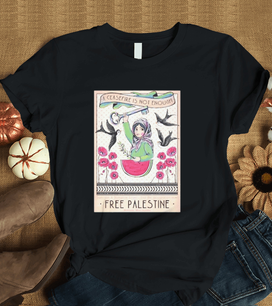 A Ceasefire Is Not Enough Free Palestine Sanction And Dismantle Israel End The Occupation Now T-Shirt