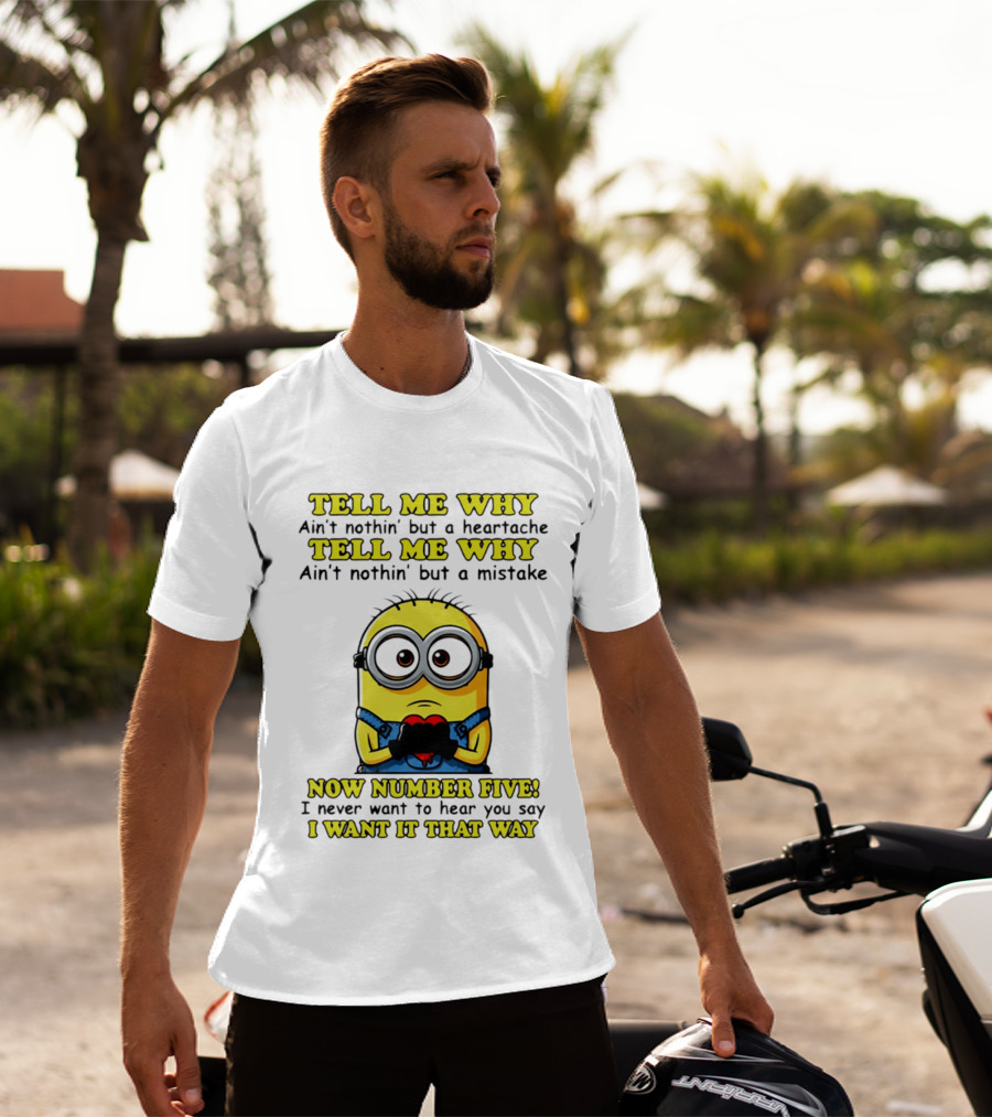 Tell Me Why Ain't Nothin' But A Heartache Mistake Minion I Want It That Way Number Five T-Shirt