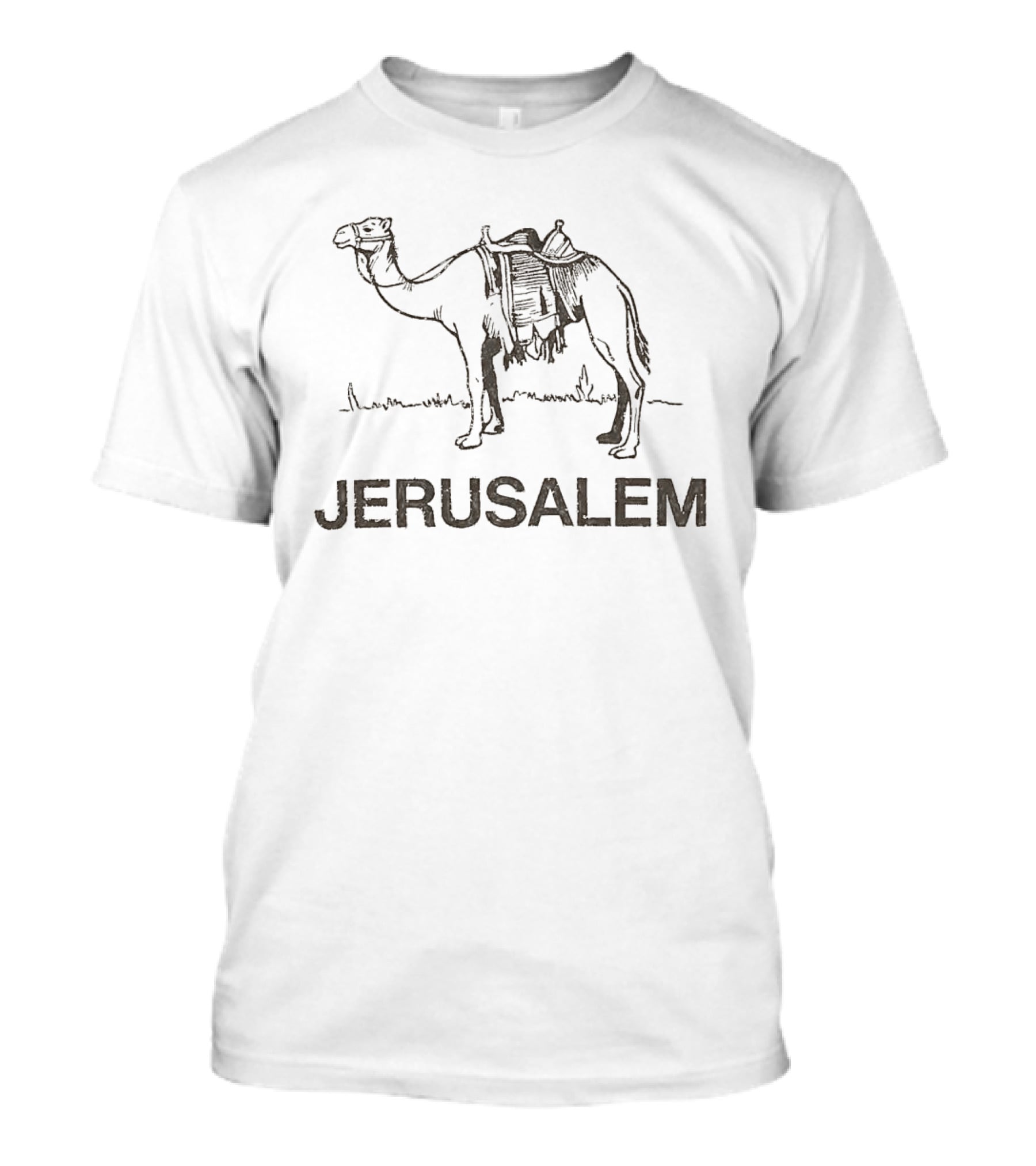 Jerusalem Camel Artwork With Zendaya Connection T-Shirt