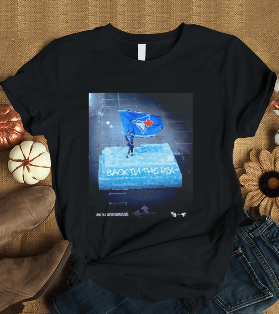 Toronto Blue Jays Back In The 6ix Ice Flag And Blocks T-Shirt