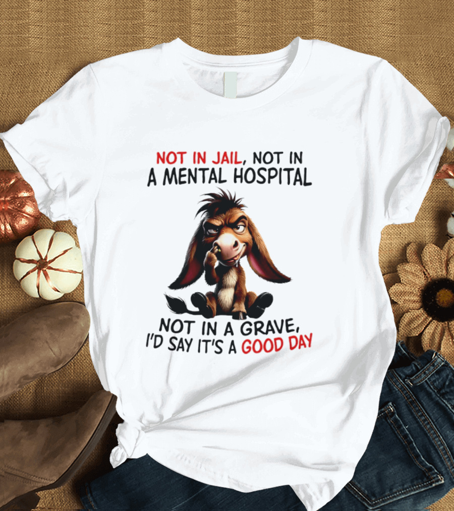 Donkey Not In Jail Not In A Mental Hospital Not In A Grave I'd Say It's A Good Day T-Shirt