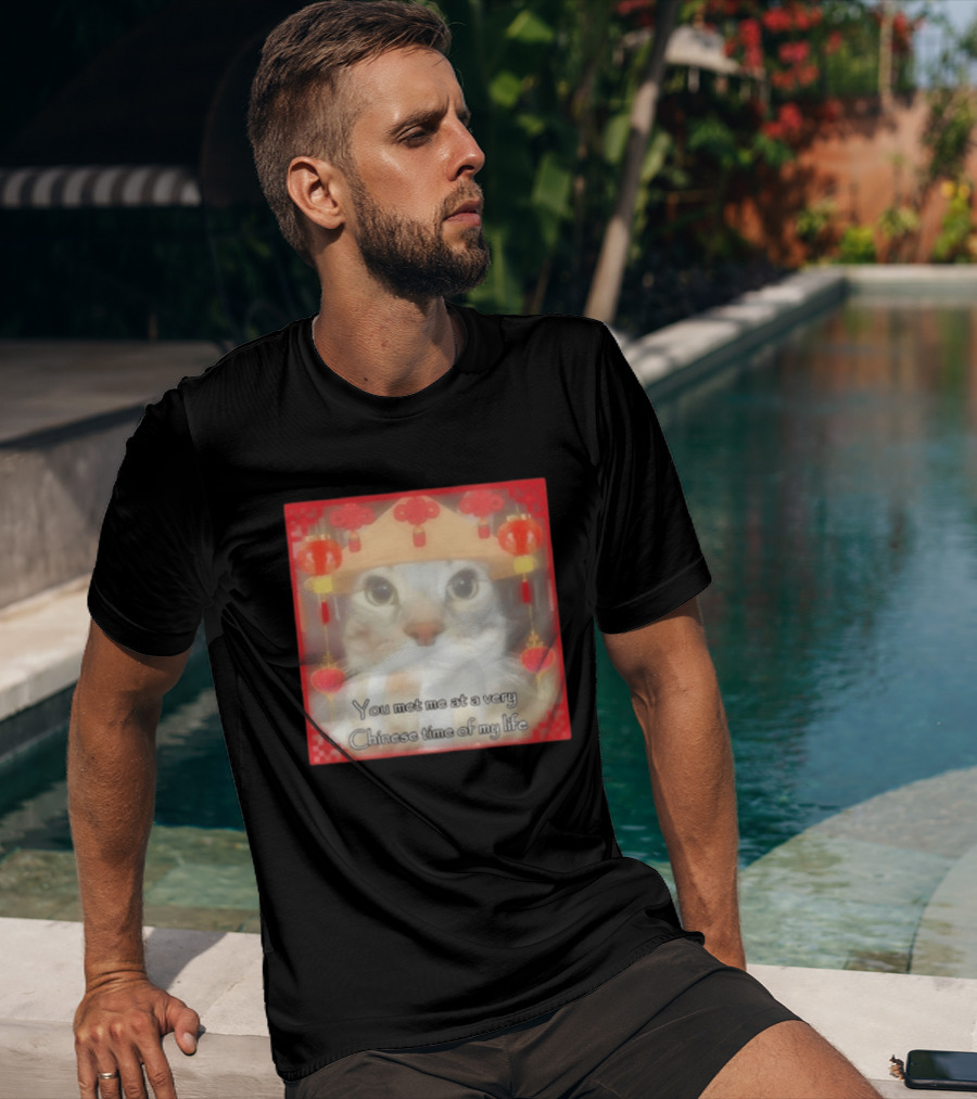 You Met Me At A Very Chinese Time Of My Life Cat Lanterns Hat T-Shirt