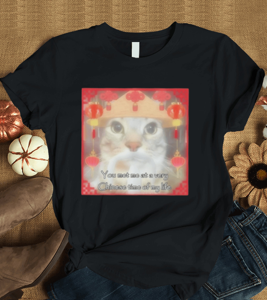 You Met Me At A Very Chinese Time Of My Life Cat Lanterns Hat T-Shirt
