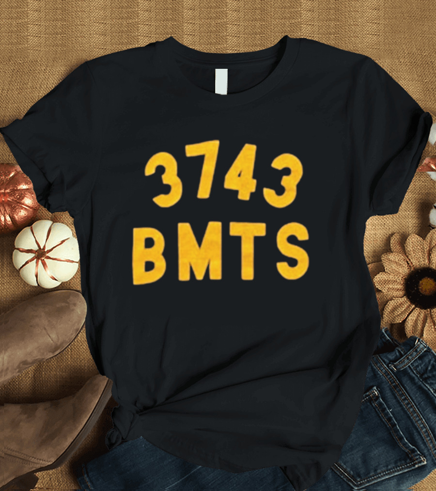 Barn Owl Seattle 3743 BMTS T-Shirt