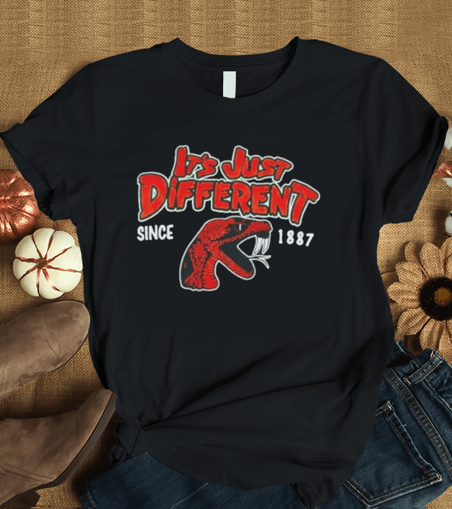 Florida A&M Rattlers It's Just Different Since 1887 T-Shirt