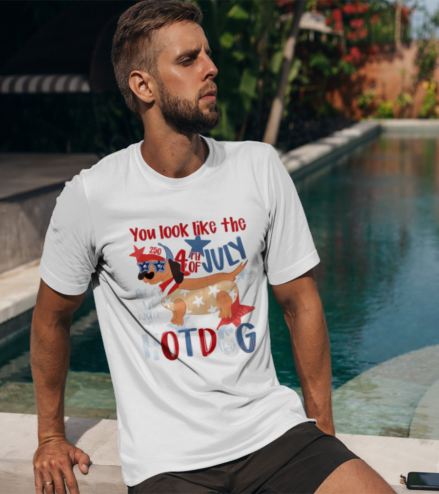You Look Like The 4th Of July Make Me Want A Hotdog 2020 Dog Star Hat T-Shirt