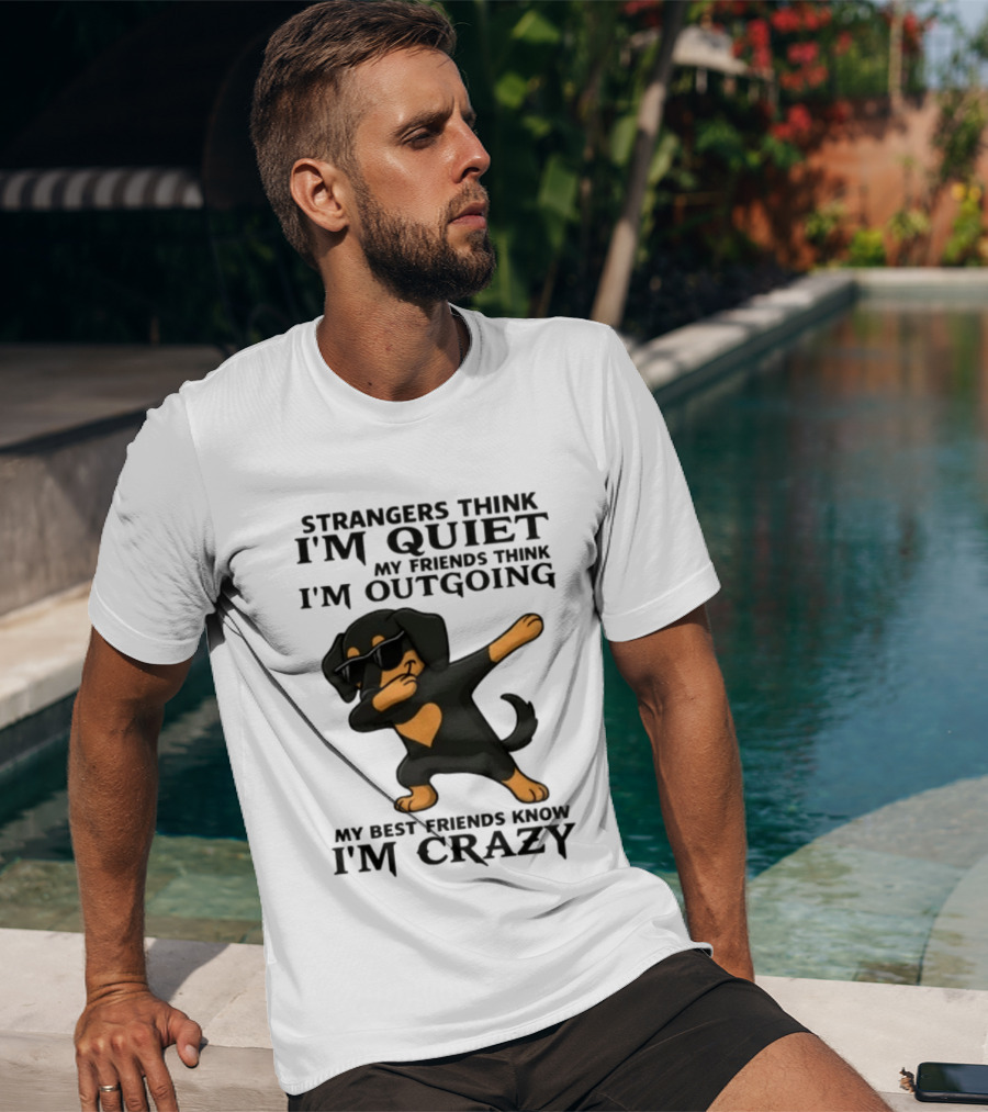 Strangers Think I'm Quiet Friends Think I'm Outgoing Best Friends Know I'm Crazy Dabbing Dachshund T-Shirt