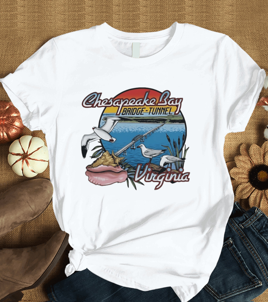 Chesapeake Bay Bridge Tunnel Virginia Seagulls Sunset Scene T-Shirt