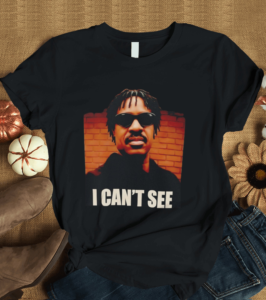 Stevie Wonder Motown R&B Soul Music Legend Singer Songwriter Parody I Can't See T-Shirt