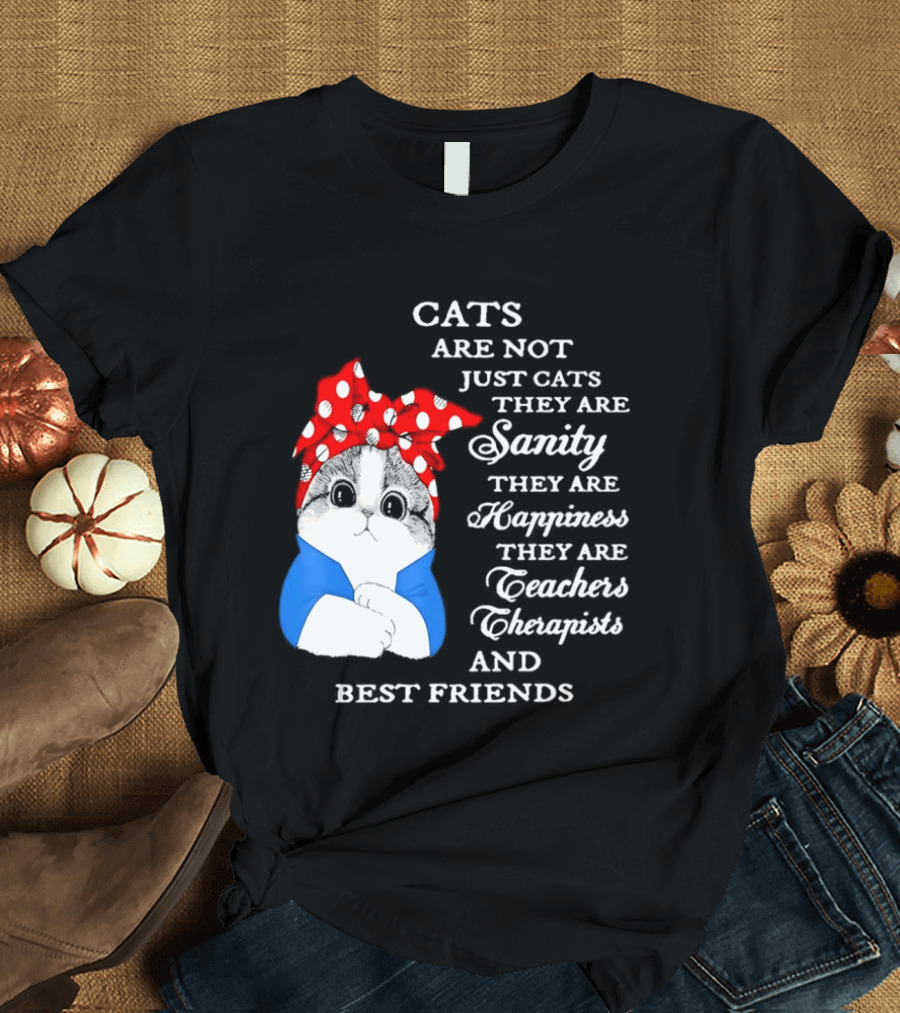 Cats Are Not Just Cats They Are Sanity Happiness Teachers Therapists Best Friends T-Shirt