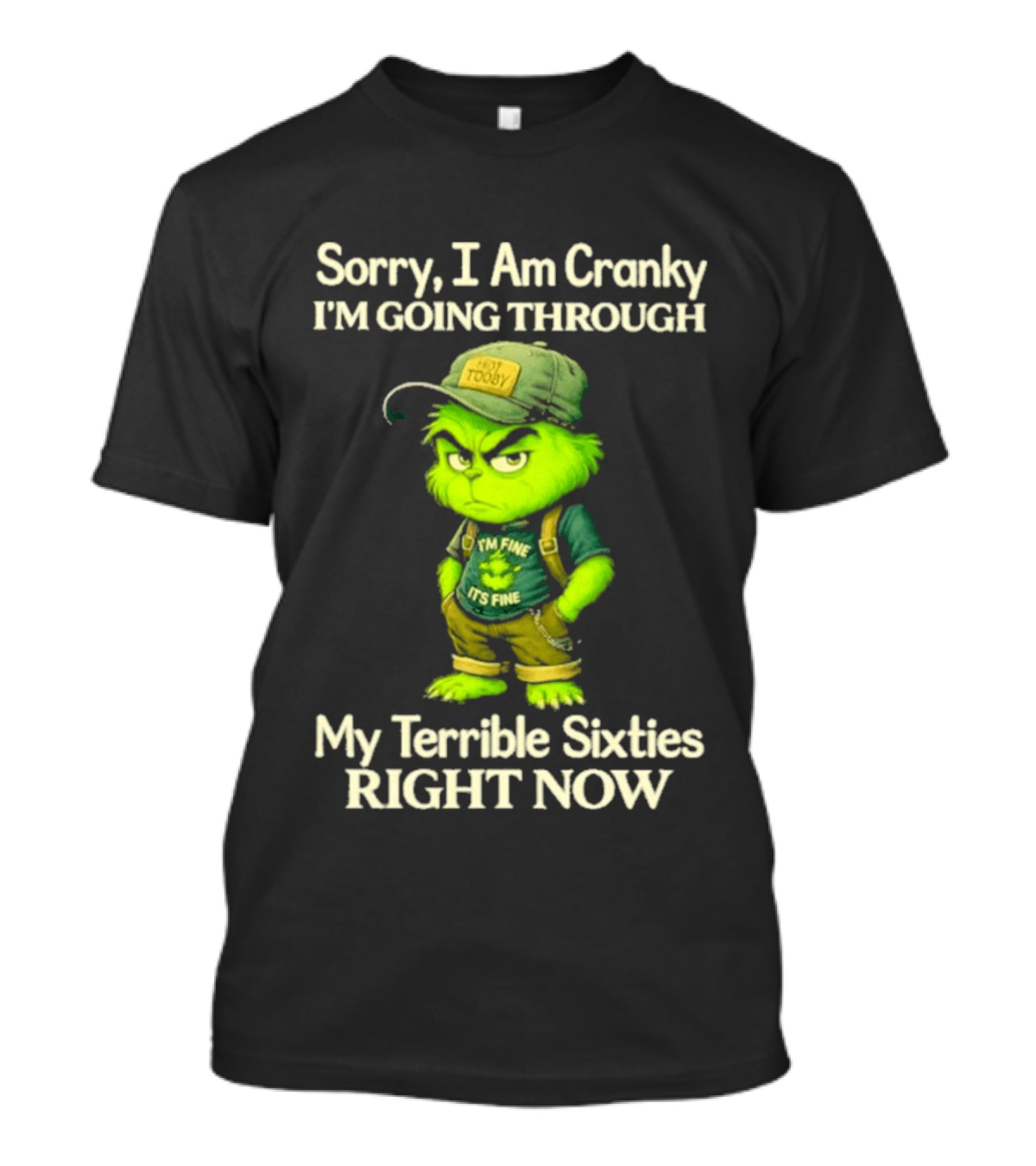 Sorry I Am Cranky I'm Going Through My Terrible Sixties Right Now T-Shirt