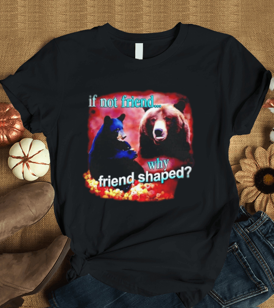 If Not Friend Why Friend Shaped Bear With Two Bears T-Shirt