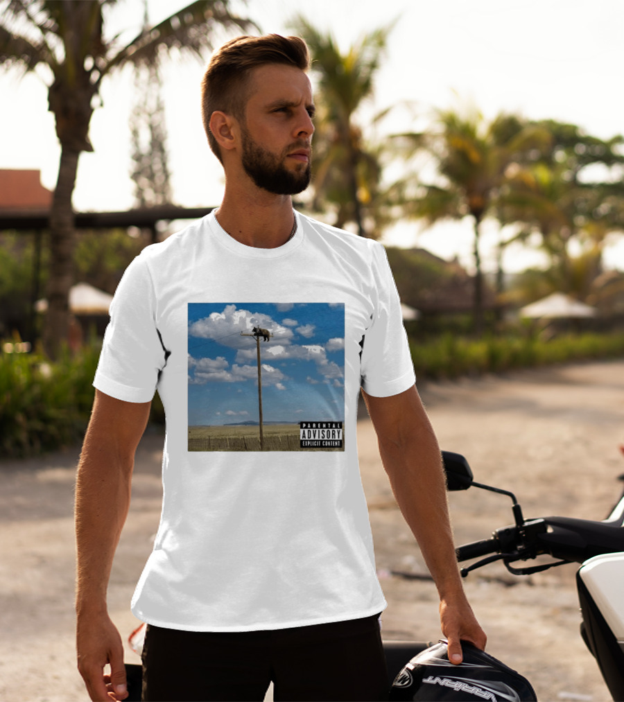 Bear On Top Of The Light Pole Parental Advisory Explicit Content Clouds Sky T-Shirt