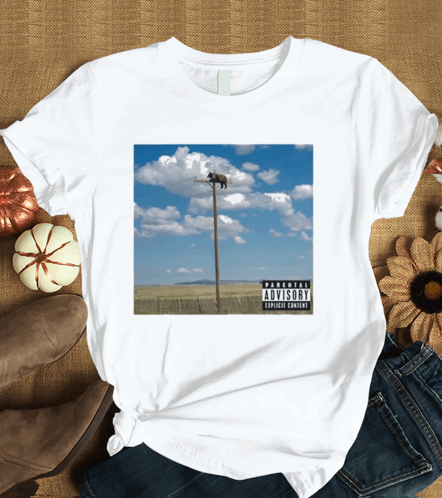 Bear On Top Of The Light Pole Parental Advisory Explicit Content Clouds Sky T-Shirt