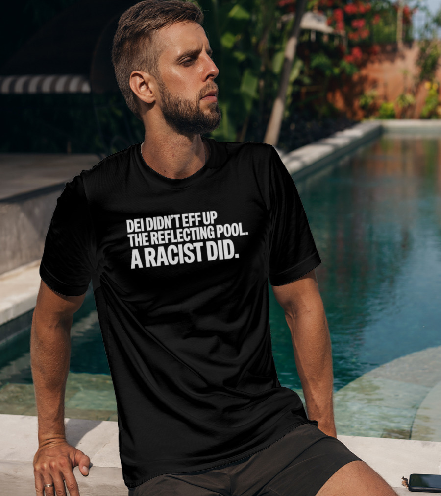 DEI Didn't Eff Up The Reflecting Pool A Racist Did T-Shirt