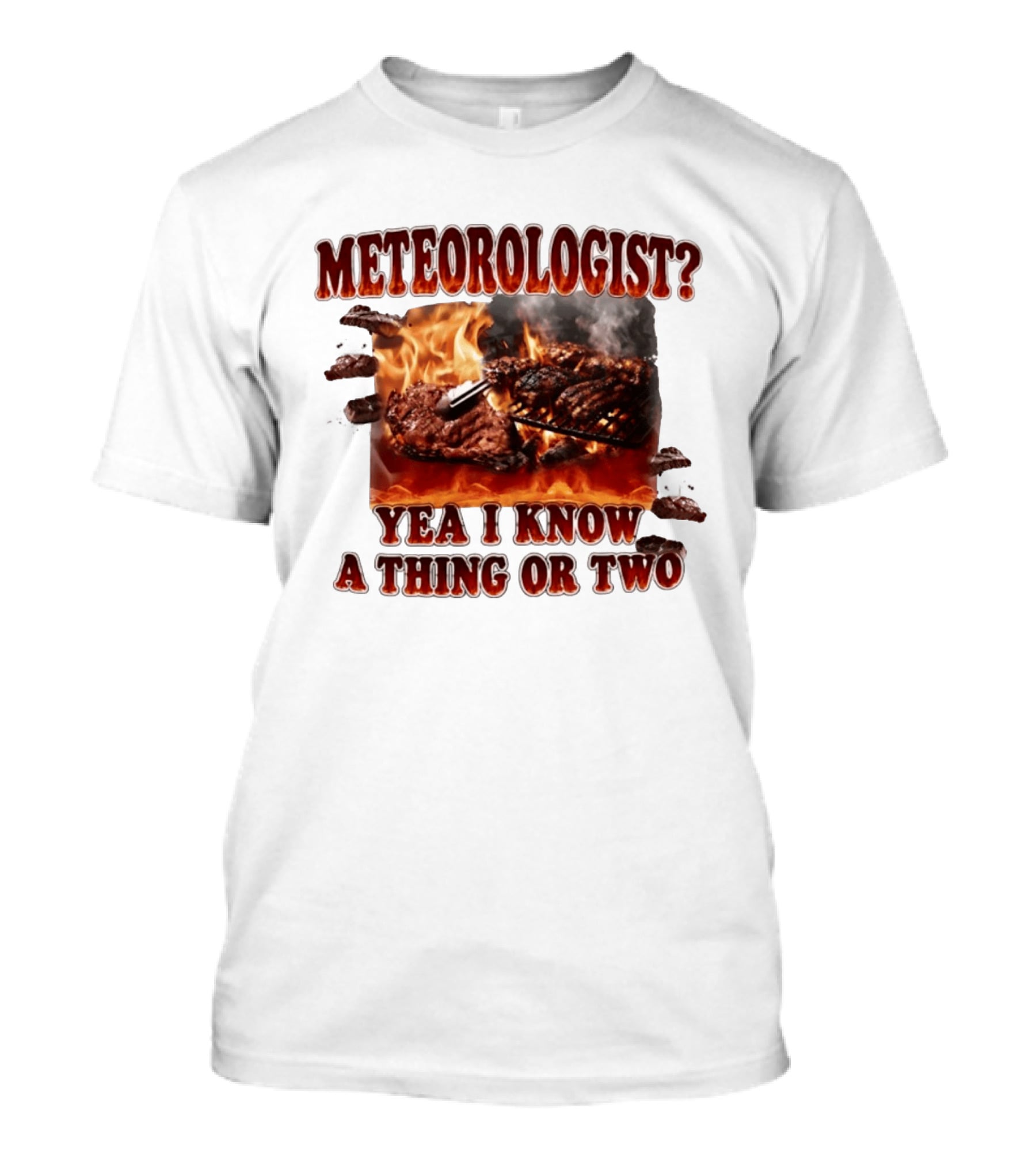 Meteorologist Yea I Know A Thing Or Two BBQ Grilling Steak Fire Humor T-Shirt