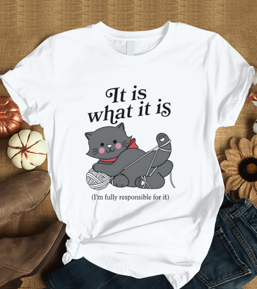 It Is What It Is Playful Cat With Yarn I'm Fully Responsible For It T-Shirt