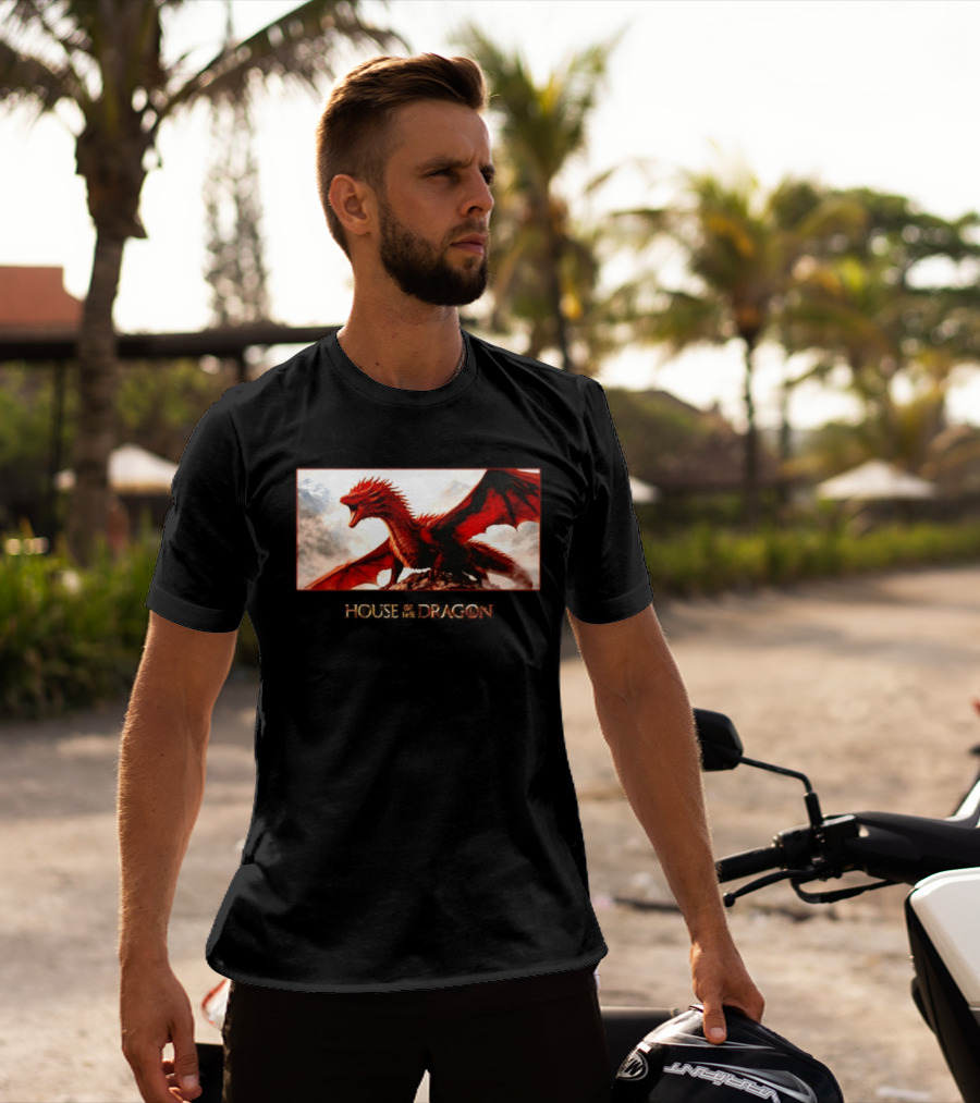 House Of The Dragon Caraxes War Memorial Mountains Scene T-Shirt