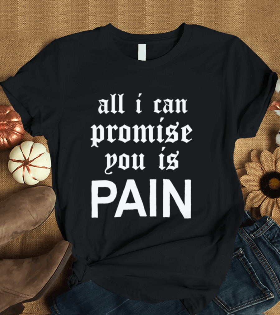 All I Can Promise You Is Pain T-Shirt