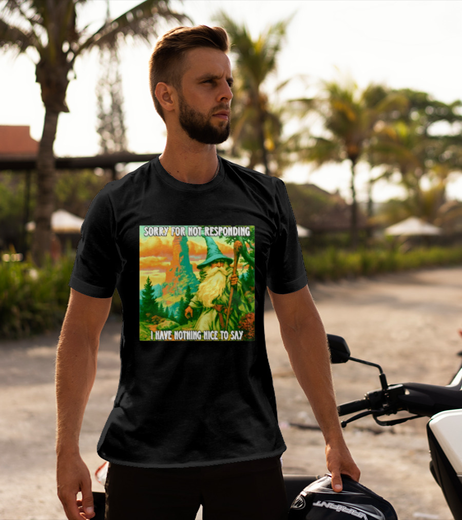 Sorry For Not Responding I Have Nothing Nice To Say Wizard Scene T-Shirt