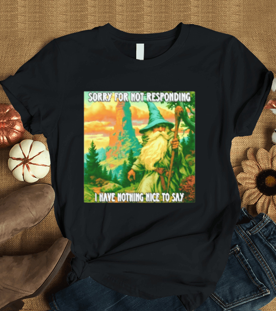 Sorry For Not Responding I Have Nothing Nice To Say Wizard Scene T-Shirt