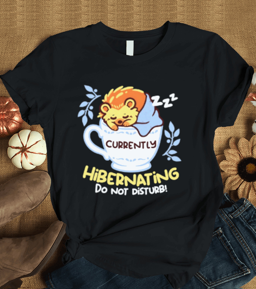 Currently Hibernating Do Not Disturb Hedgehog In Teacup Python T-Shirt
