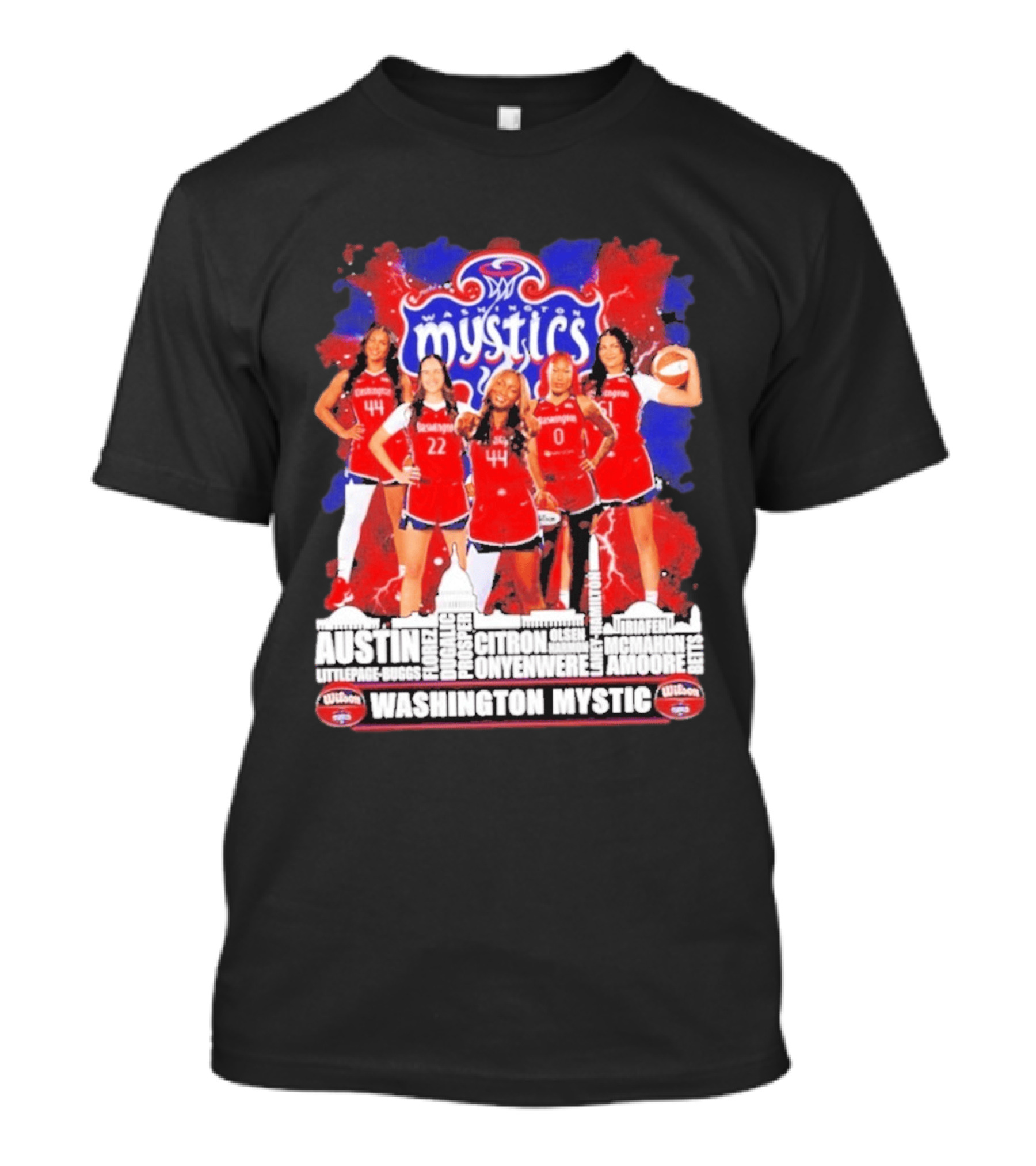 Washington Mystics Roster WNBA Basketball Skyline Austin Littlepage Buggs Poole Citron Onyenwere Amihere Olsen McMahon Amooore T-Shirt