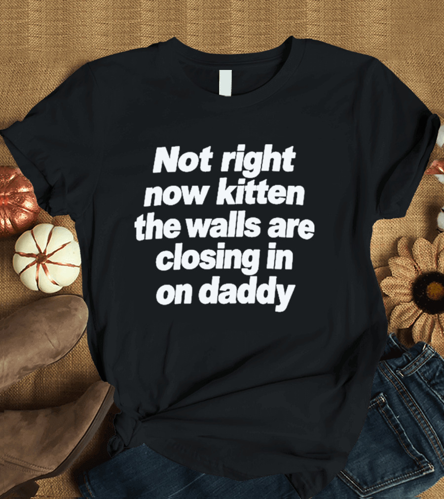 Not Right Now Kitten The Walls Are Closing In On Daddy Funny Meme T-Shirt