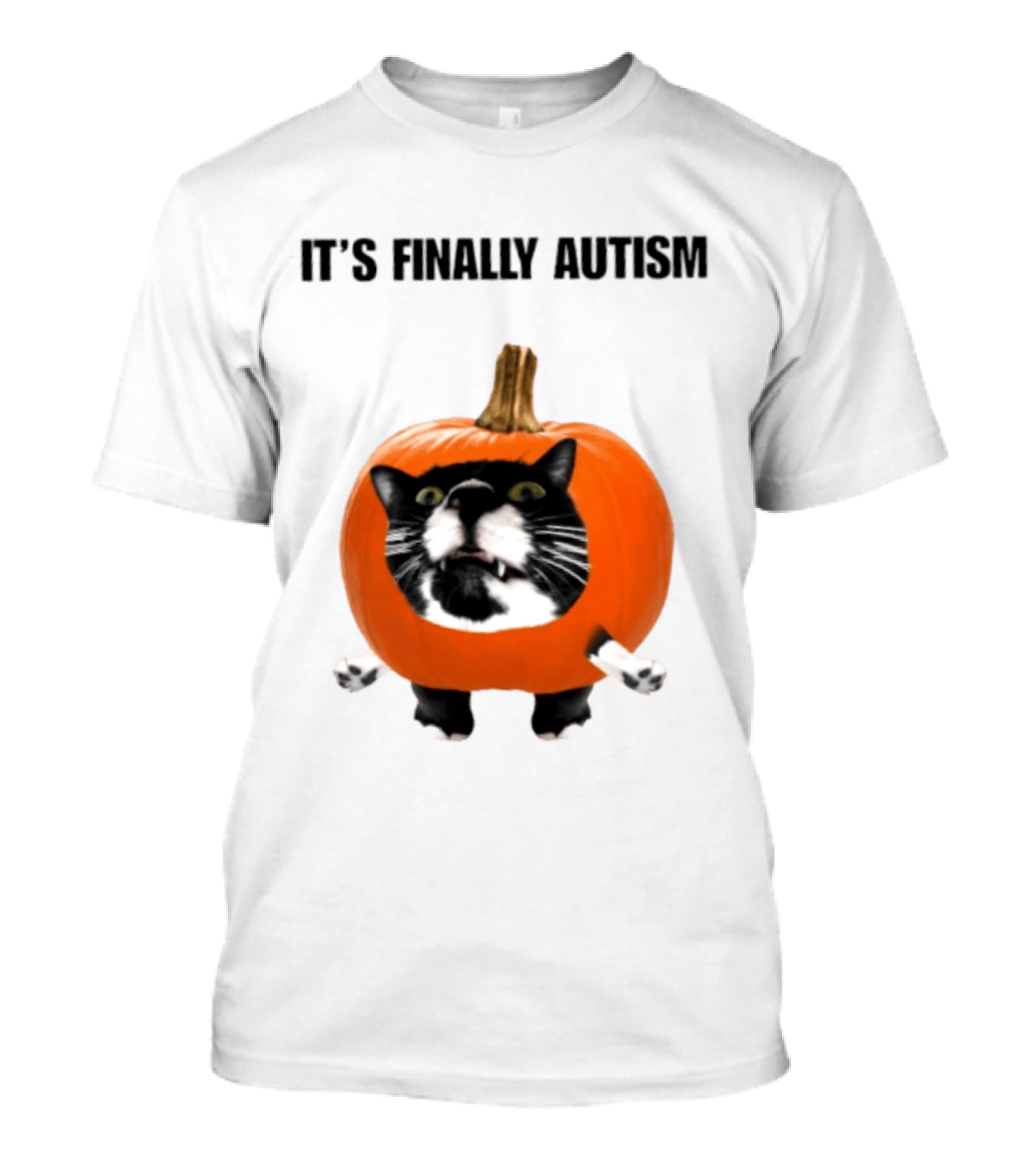 It's Finally Autism Cat Pumpkin T-Shirt