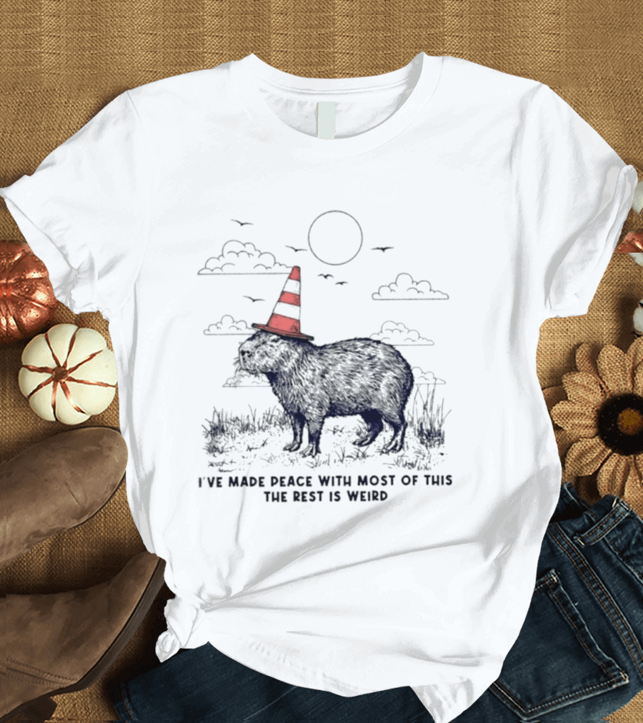 Capybara With Cone Hat Peaceful Yet Weird Scene I've Made Peace With Most Of This T-Shirt