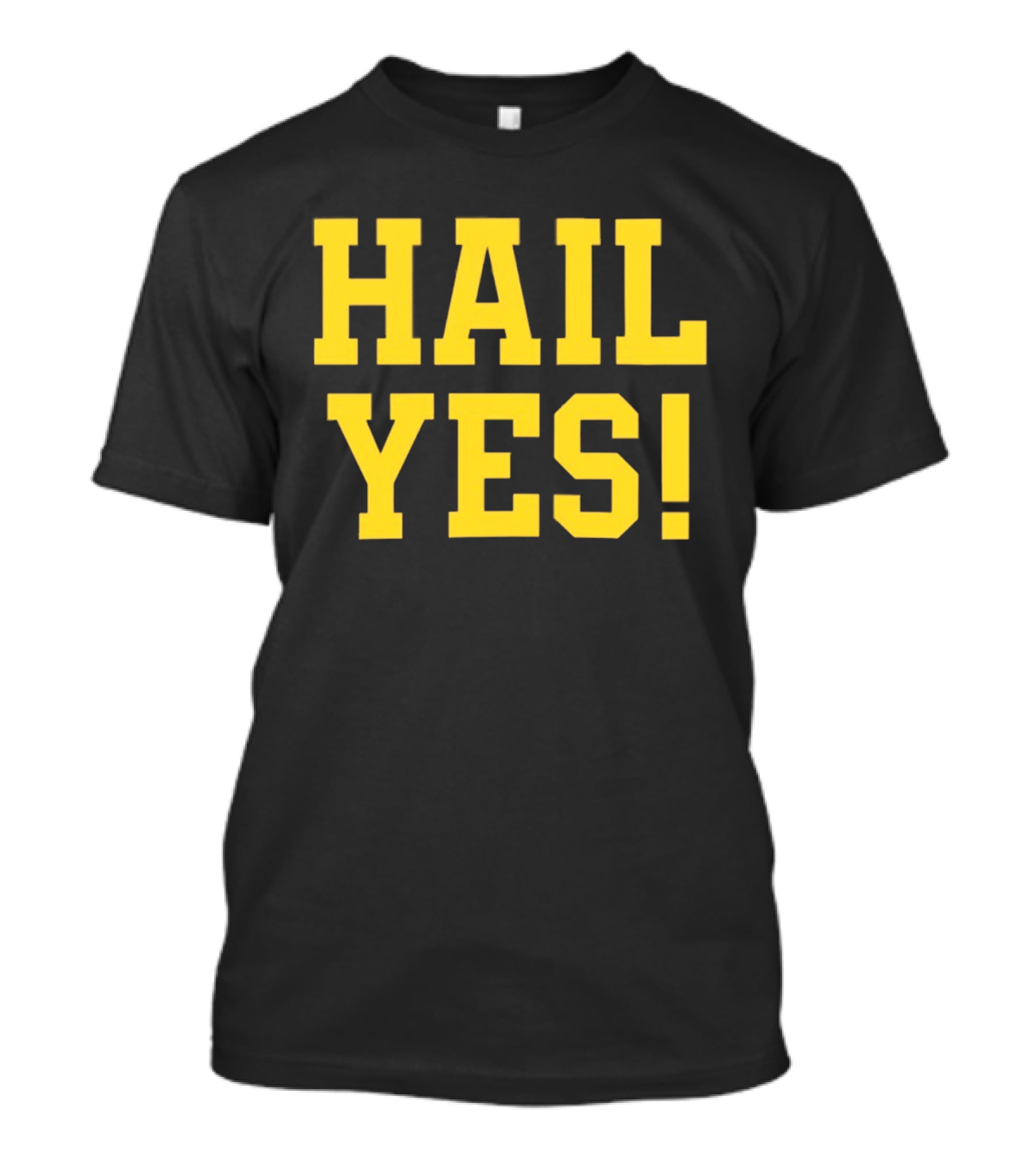 Hail Yes Michigan Wolverines Fan Spirit T-Shirt
